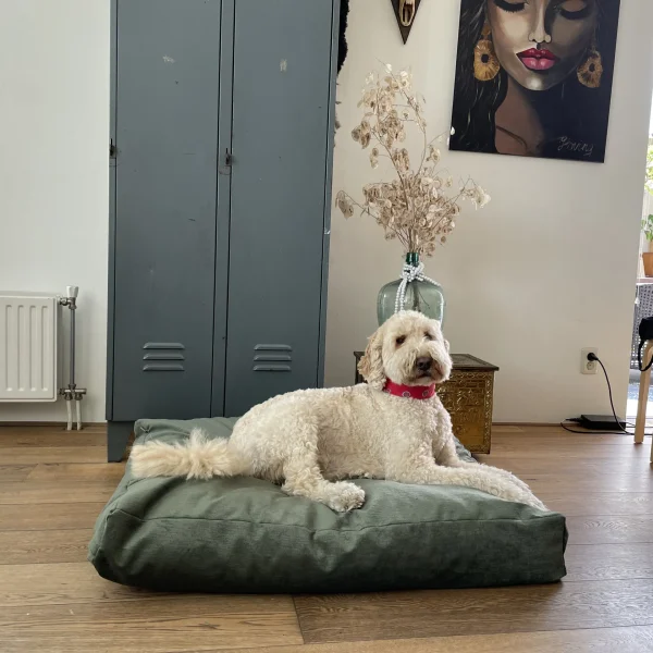 Hondenkussen Buddy
