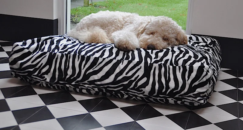 Hondenkussen Teddy - Afbeelding 3