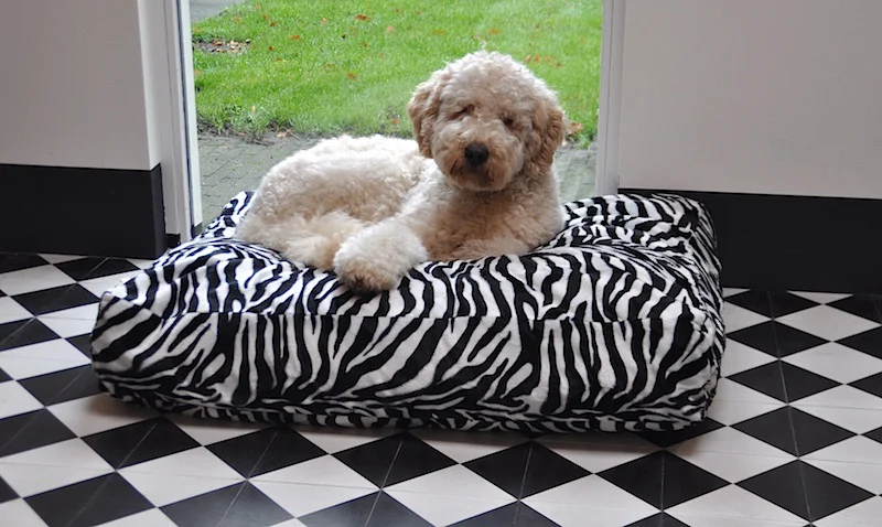 Hondenkussen Teddy