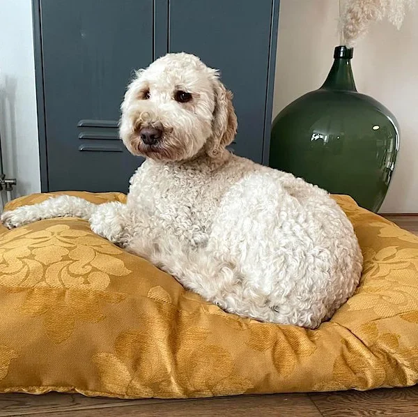 Losse Hoes Hondenkussen Guus