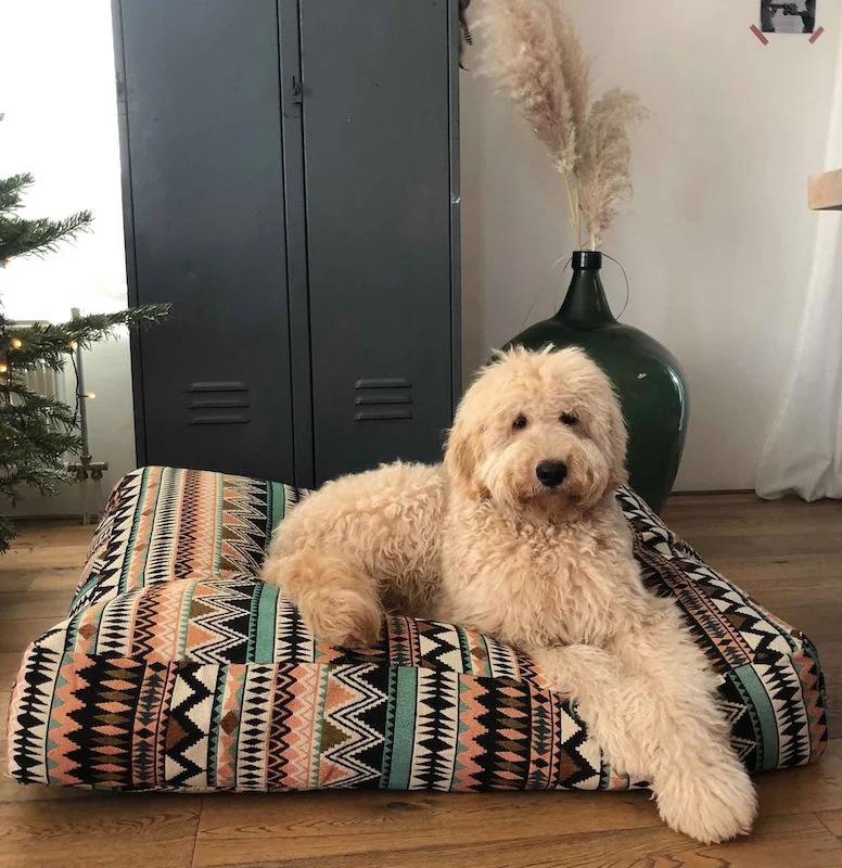 Hondenkussen Bentley