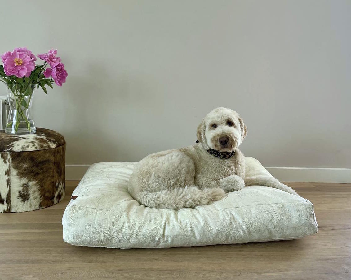 Hondenkussen Ischa