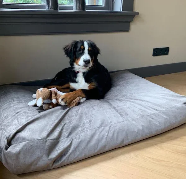 Losse Hoes Hondenkussen Senna