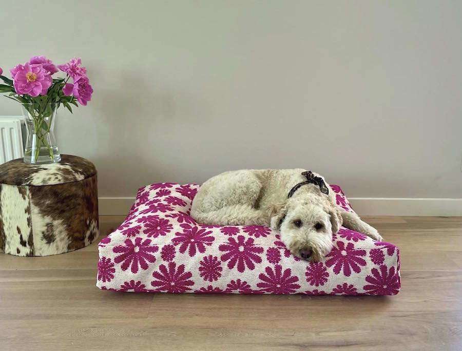 Hondenkussen LouLou